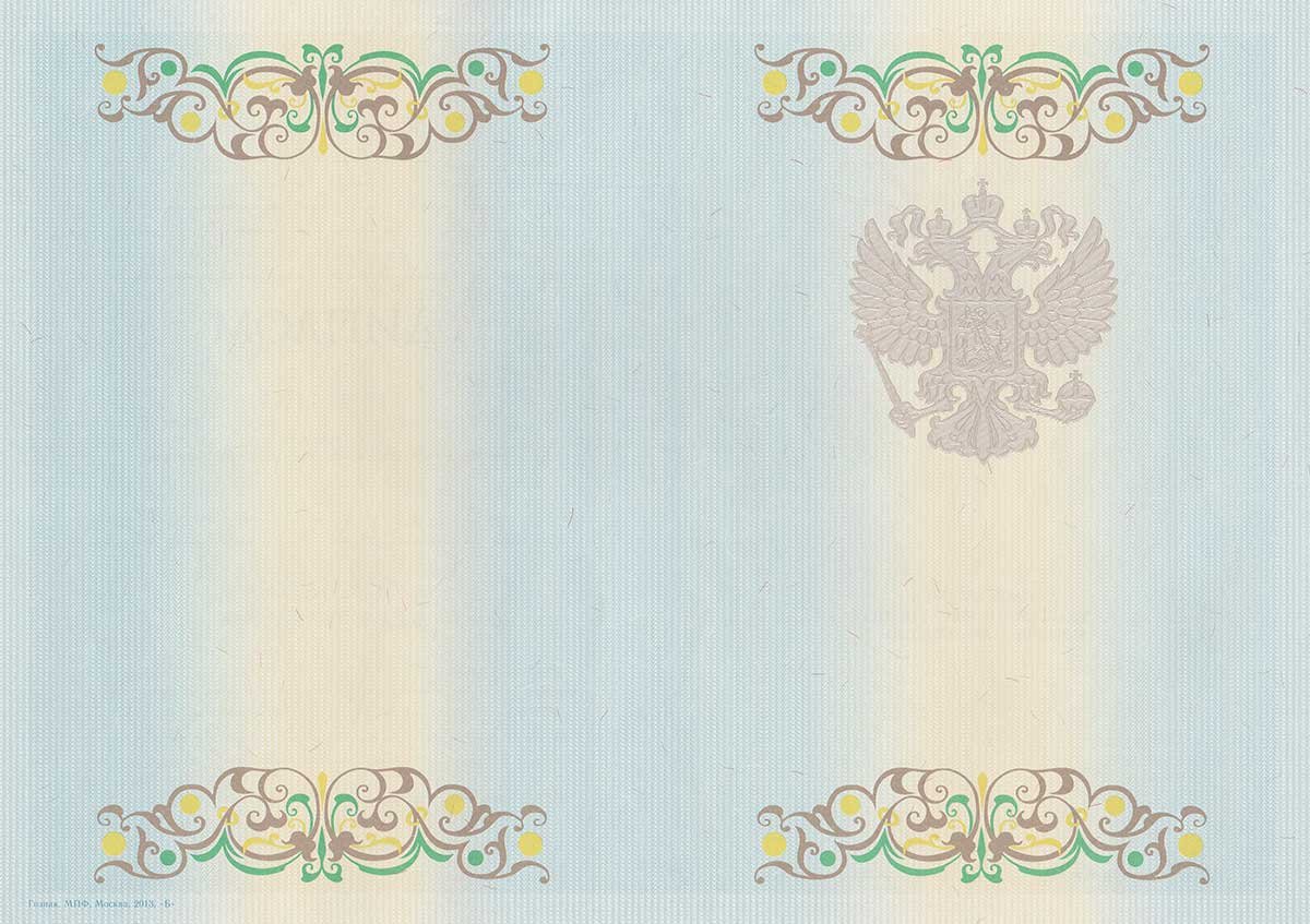 Диплом специалиста 2011-2013 год  Диплом специалиста 2011-2013 год