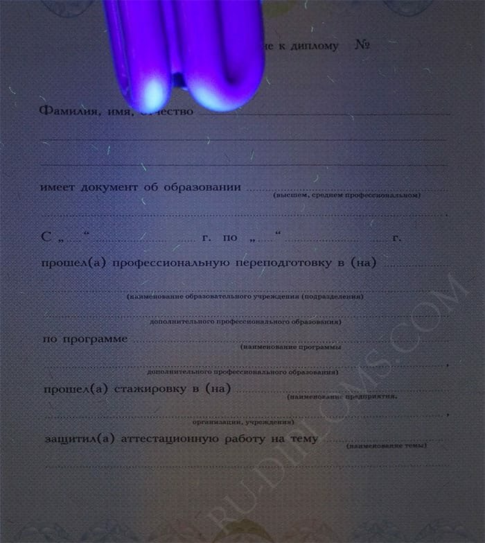 Диплом о переподготовке 2010 года  Диплом о переподготовке 2010 года
