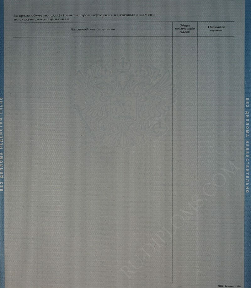 Диплом бакалавра 2004-2009 год   Диплом бакалавра 2004-2009 год