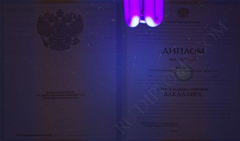 Диплом бакалавра 2004-2009 год   Диплом бакалавра 2004-2009 год