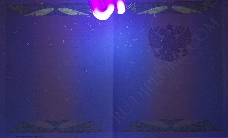 Диплом бакалавра 2004-2009 год   Диплом бакалавра 2004-2009 год