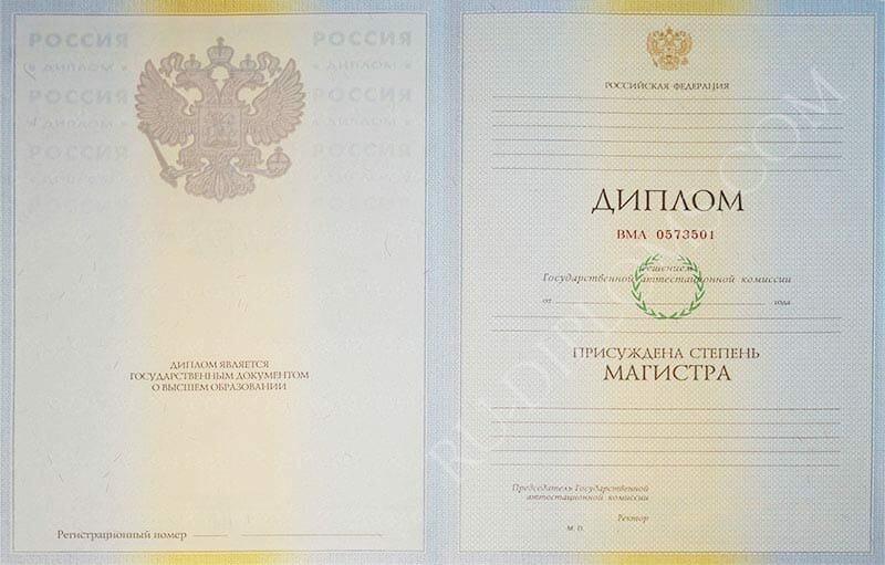 Диплом магистра 2004-2009 год