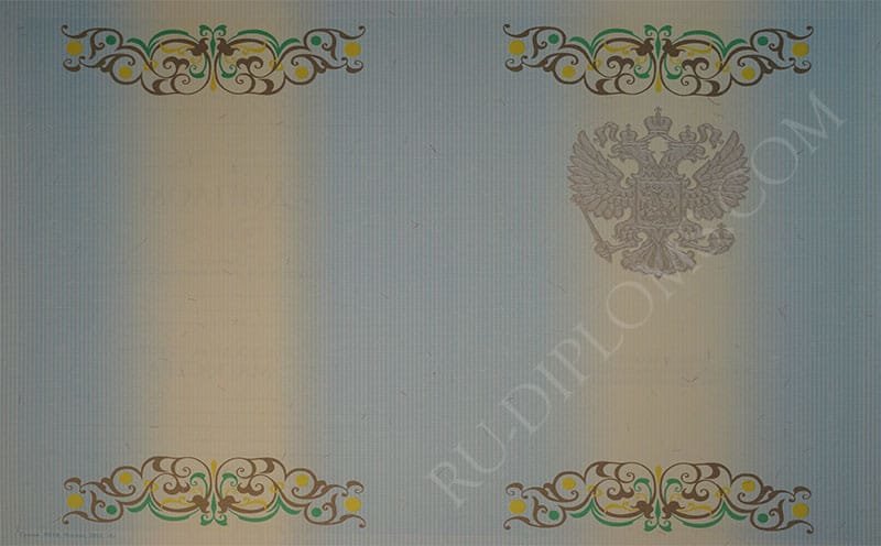 Диплом магистра 2010-2013 год  Диплом магистра 2010-2013 год