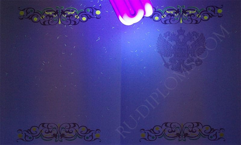 Диплом магистра 2010-2013 год  Диплом магистра 2010-2013 год